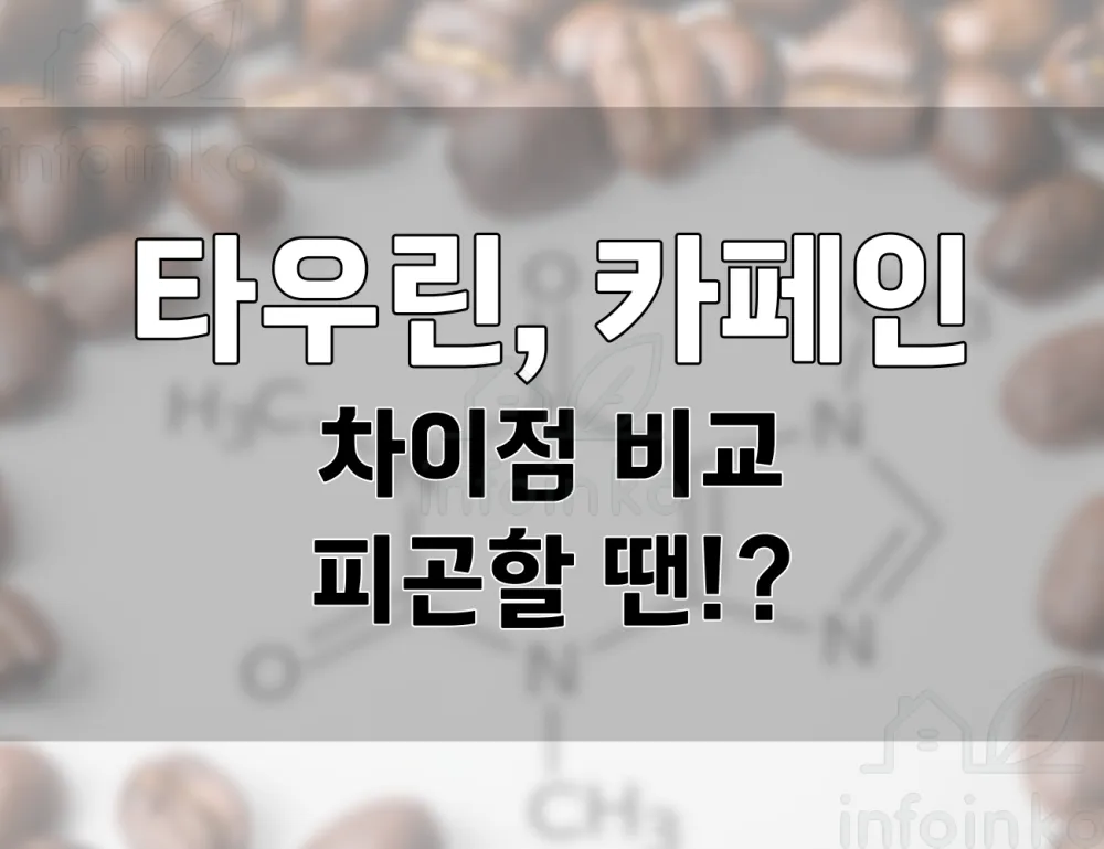 타우린과 카페인의 차이점. 피곤할 때 어떤 에너지 음료가 좋을까?